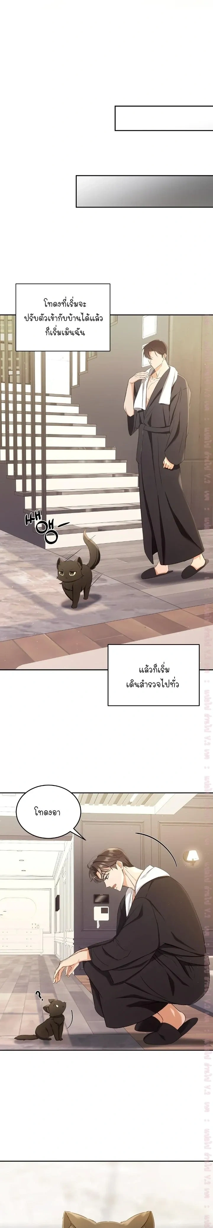 Cat Therapy Love – แมวบำบัดรัก ตอนที่ 2 หน้า 7