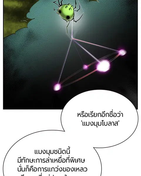 Jungle Juice ตอนที่ 31 หน้า 13
