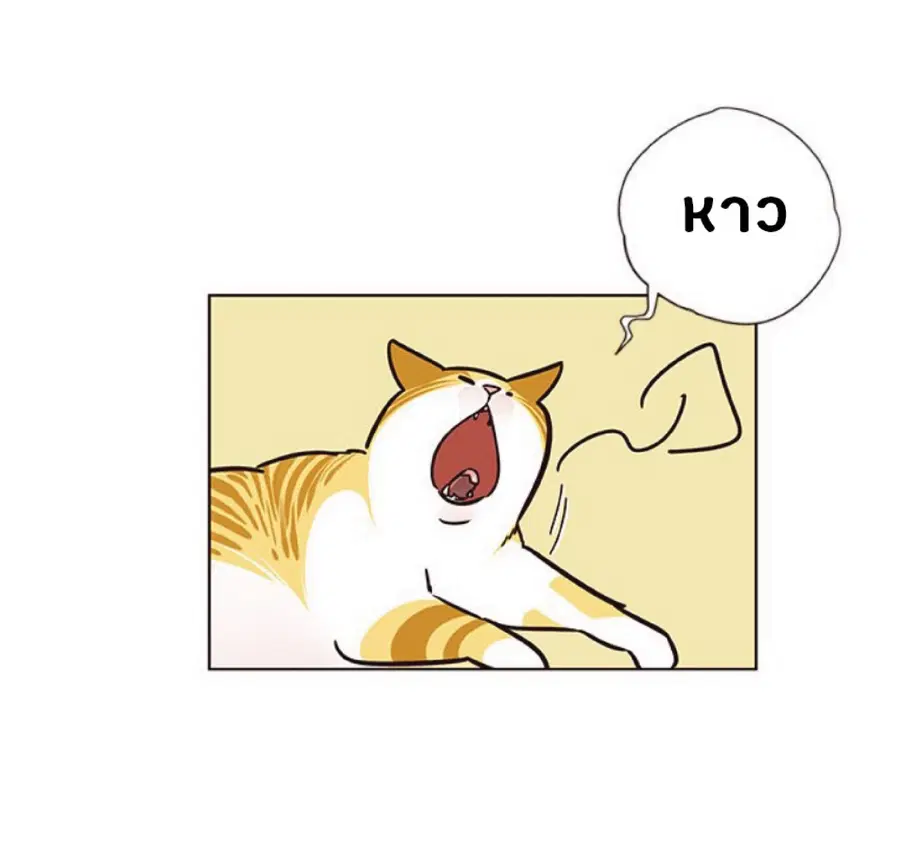 Eleceed ตอนที่ 57 หน้า 64