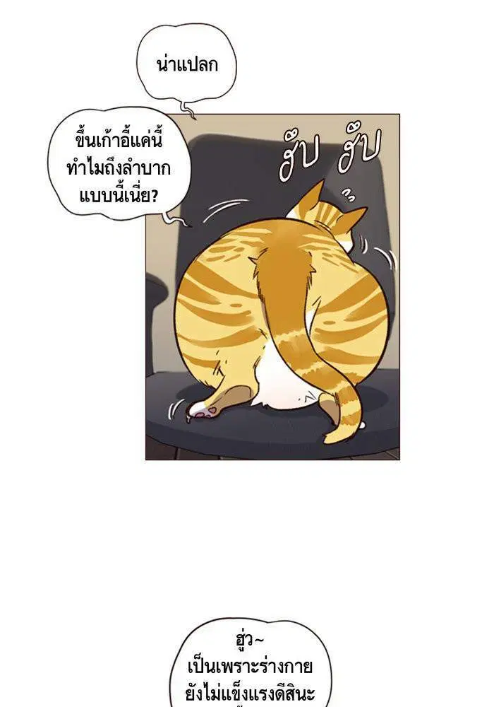 Eleceed ตอนที่ 1 หน้า 51