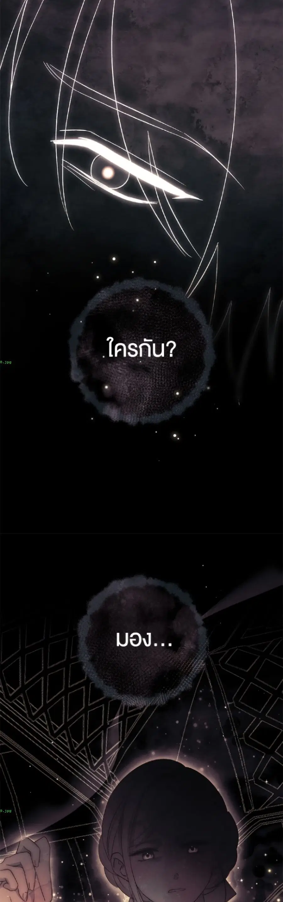 The Villain’s Match Is Too Perfect – คู่ดูตัวของนางร้ายเพอร์เฟกต์เกินไป ตอนที่ 107 หน้า 5