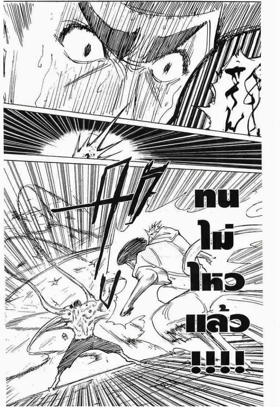 Hunter x Hunter ตอนที่ 272 หน้า 4