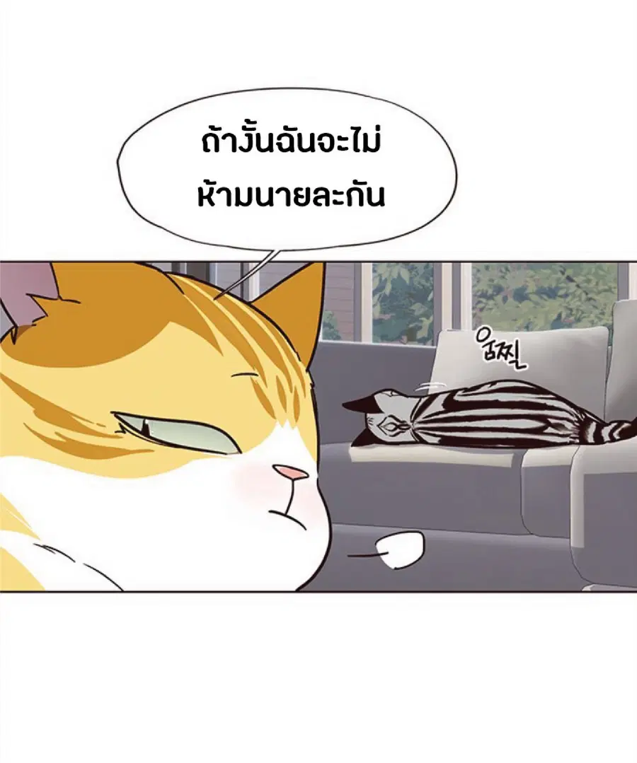 Eleceed ตอนที่ 37 หน้า 31