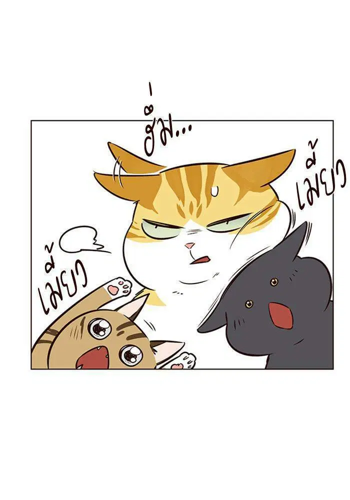 Eleceed ตอนที่ 7 หน้า 74