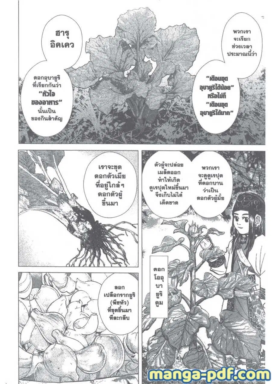 Golden Kamuy ตอนที่ 91 หน้า 5