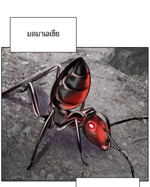 Jungle Juice ตอนที่ 56 หน้า 29