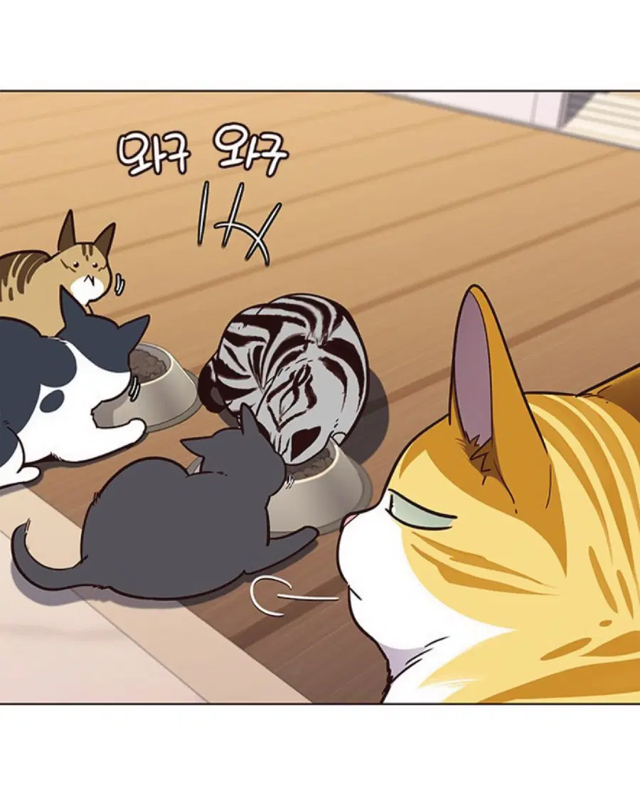 Eleceed ตอนที่ 56 หน้า 61