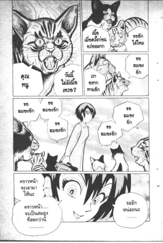 Gakkou Kaidan ตอนที่ 111 หน้า 11