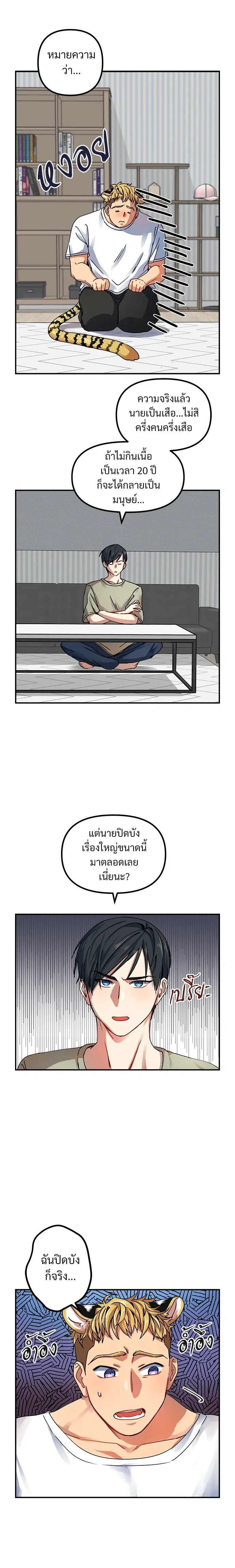 My Sassy Tiger Boyfriend – แฟนผมเป็นเสือสุดแซ่บ ตอนที่ 1 หน้า 6