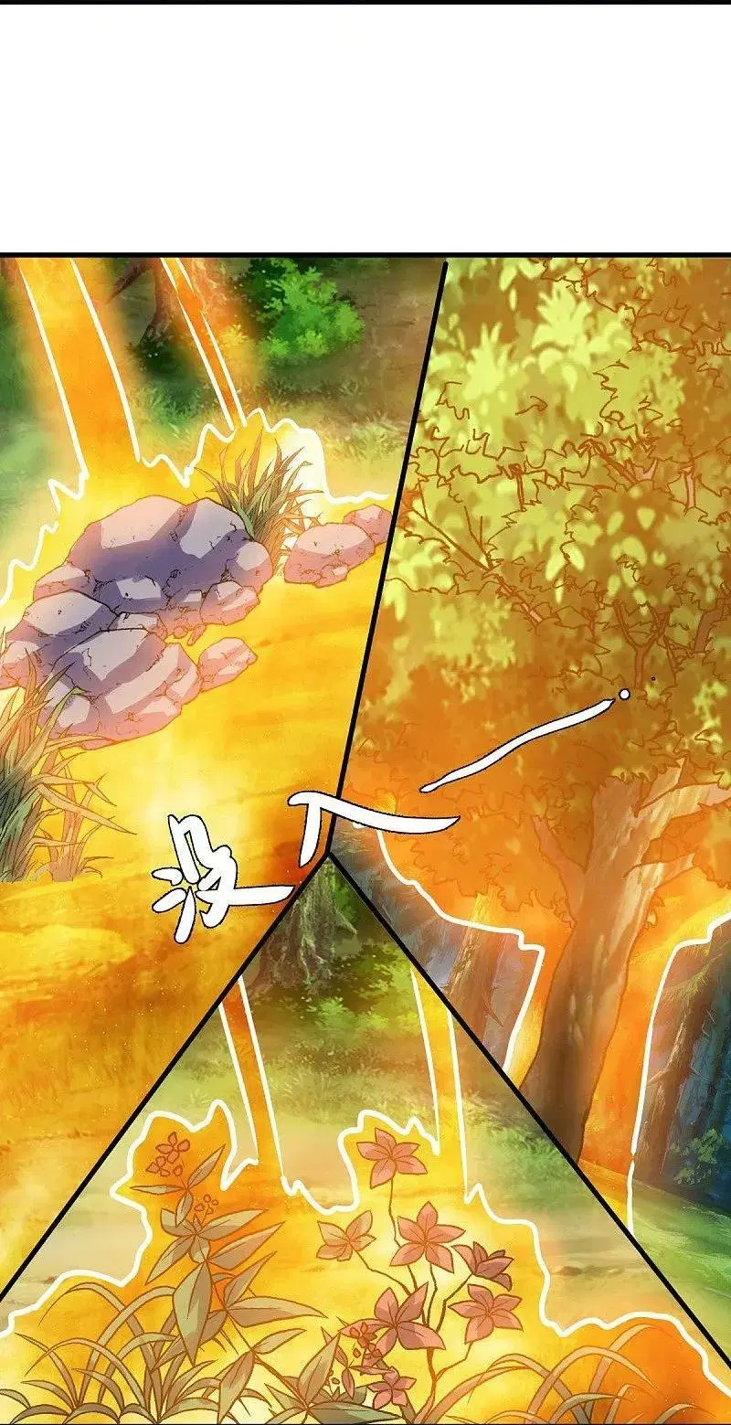Peerless Battle Spirit ตอนที่ 572 หน้า 5