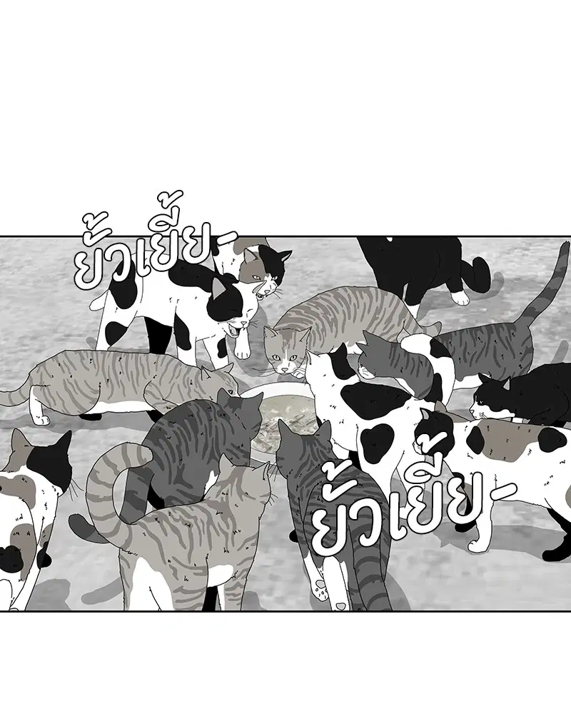 Kitchen Soldier ตอนที่ 136 หน้า 67