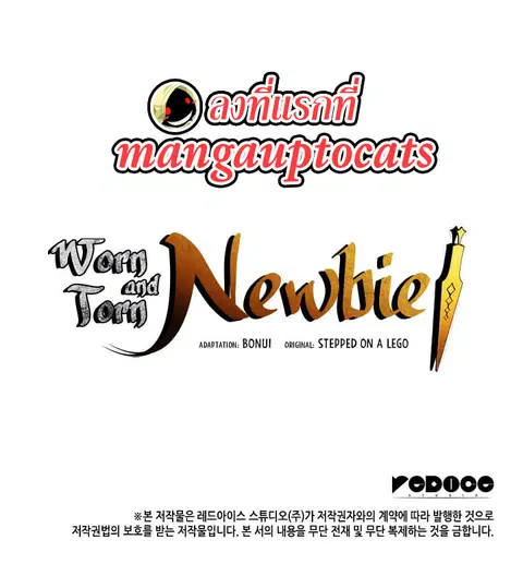Worn and Torn Newbie ตอนที่ 24 หน้า 17