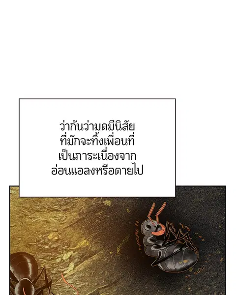 Jungle Juice ตอนที่ 46 หน้า 62