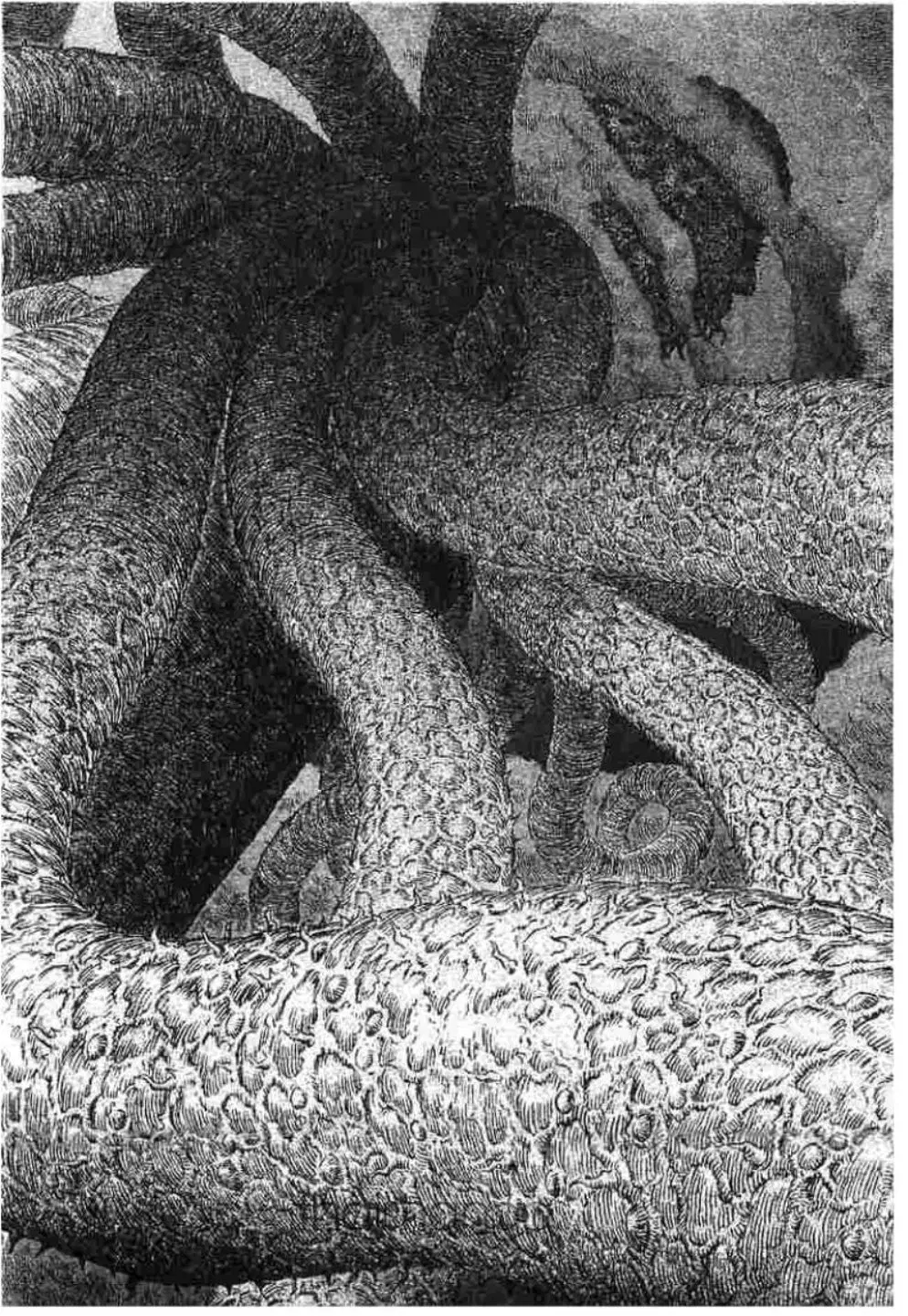 Berserk ตอนที่ 303 หน้า 12
