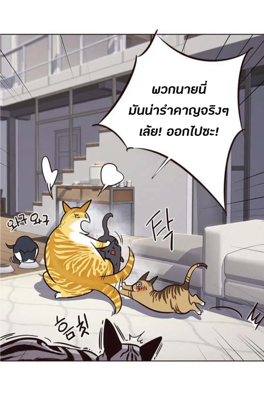 Eleceed ตอนที่ 37 หน้า 51