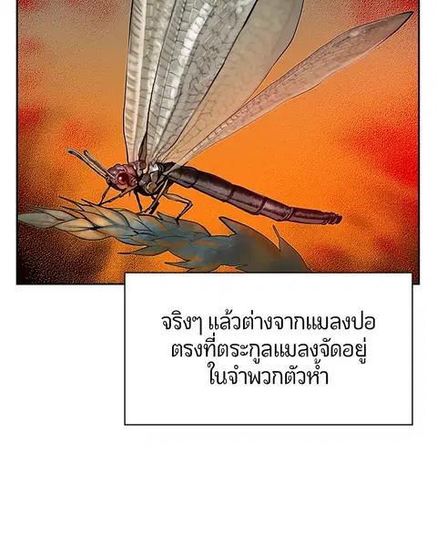 Jungle Juice ตอนที่ 41 หน้า 107