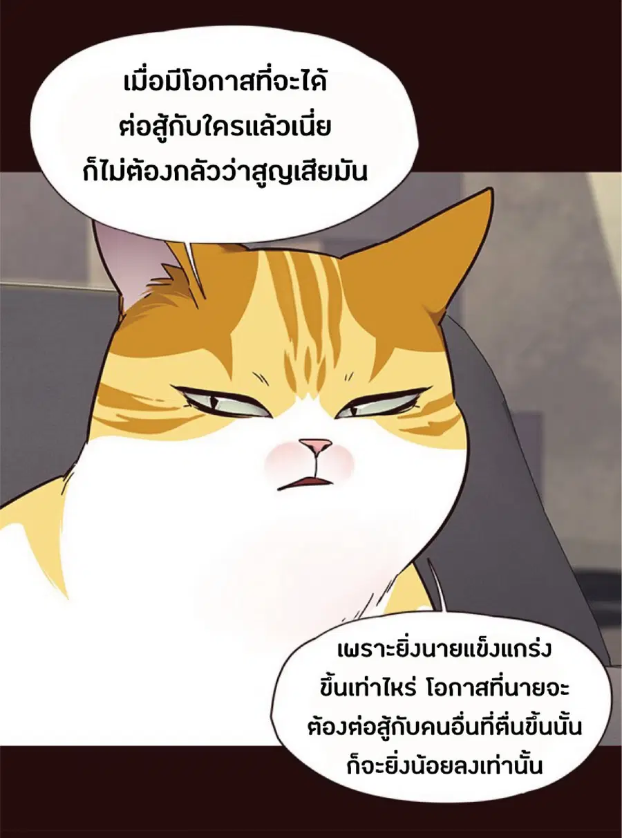 Eleceed ตอนที่ 71 หน้า 45