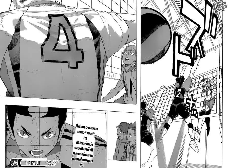 Haikyuu!! ตอนที่ 202 หน้า 17