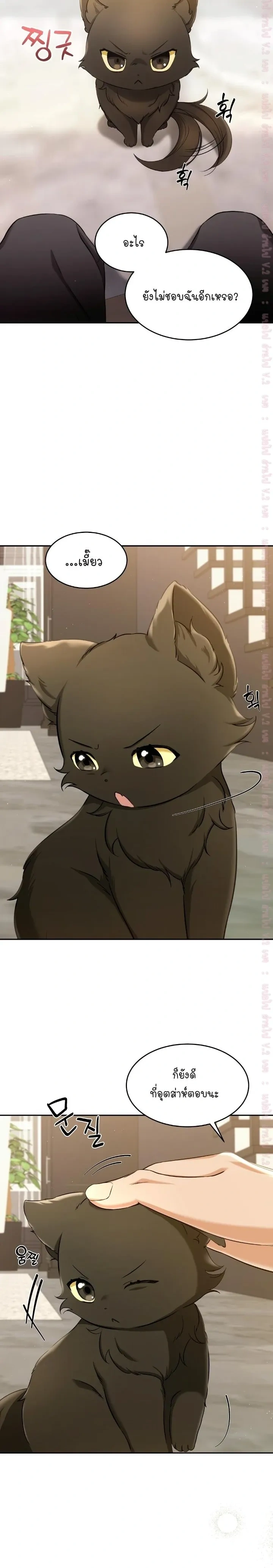 Cat Therapy Love – แมวบำบัดรัก ตอนที่ 2 หน้า 8