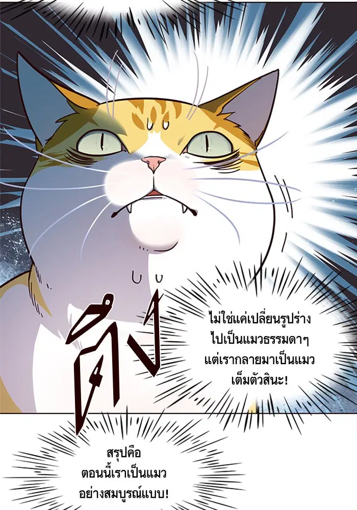 Eleceed ตอนที่ 16 หน้า 19
