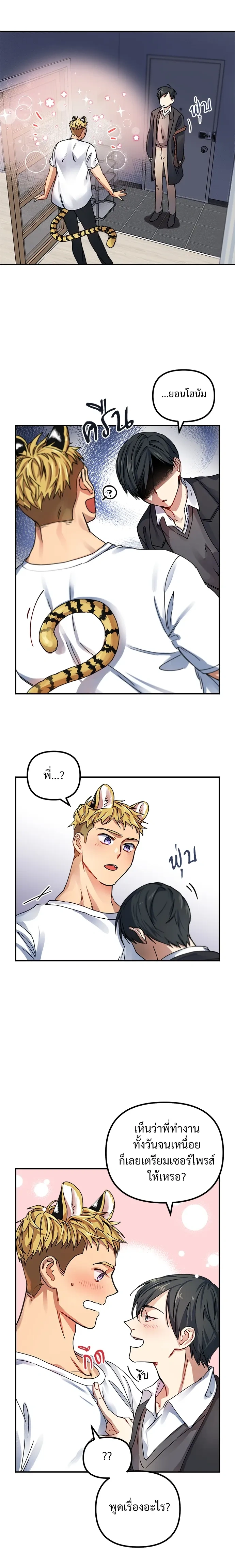 My Sassy Tiger Boyfriend – แฟนผมเป็นเสือสุดแซ่บ ตอนที่ 1 หน้า 3