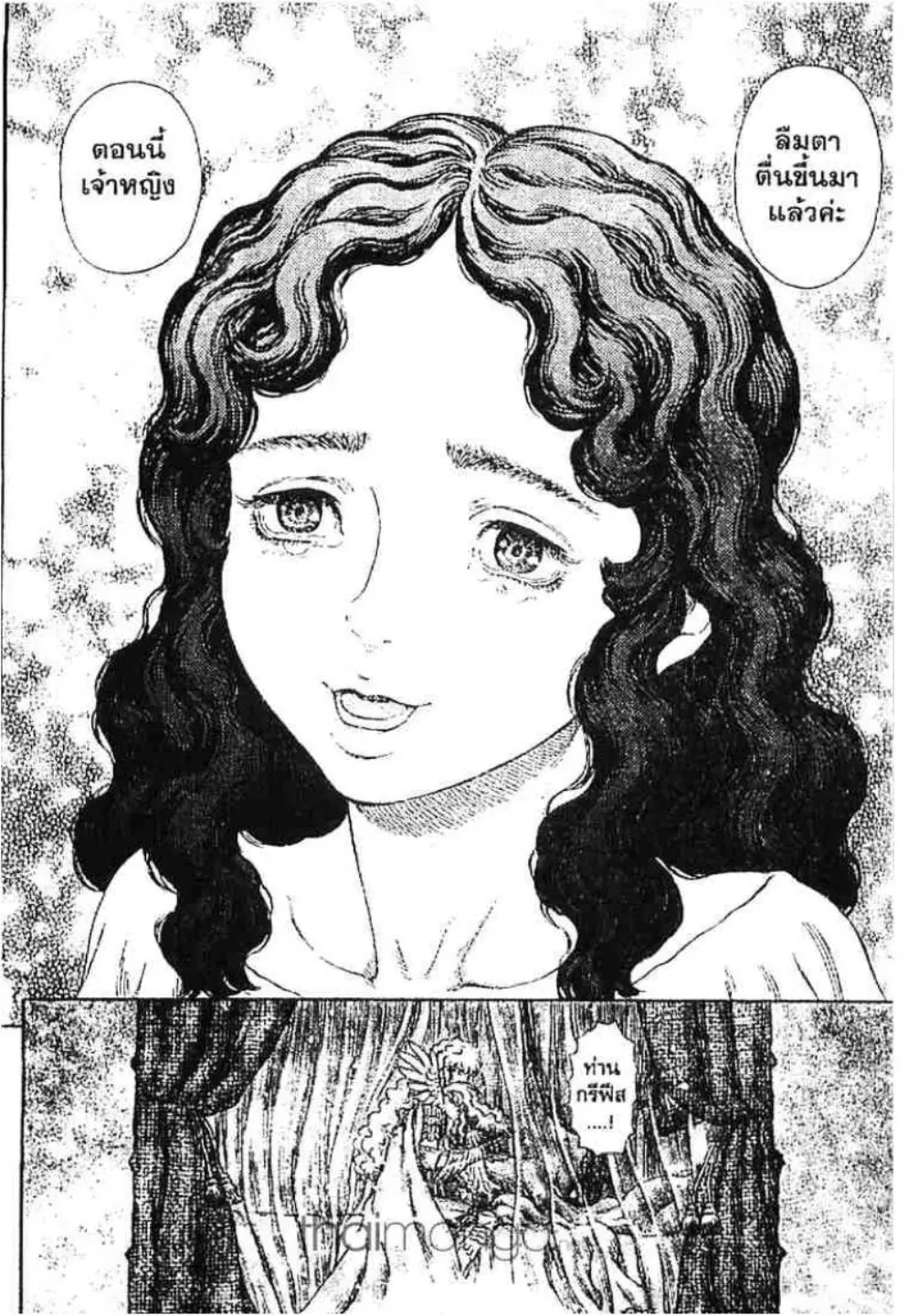 Berserk ตอนที่ 243 หน้า 9