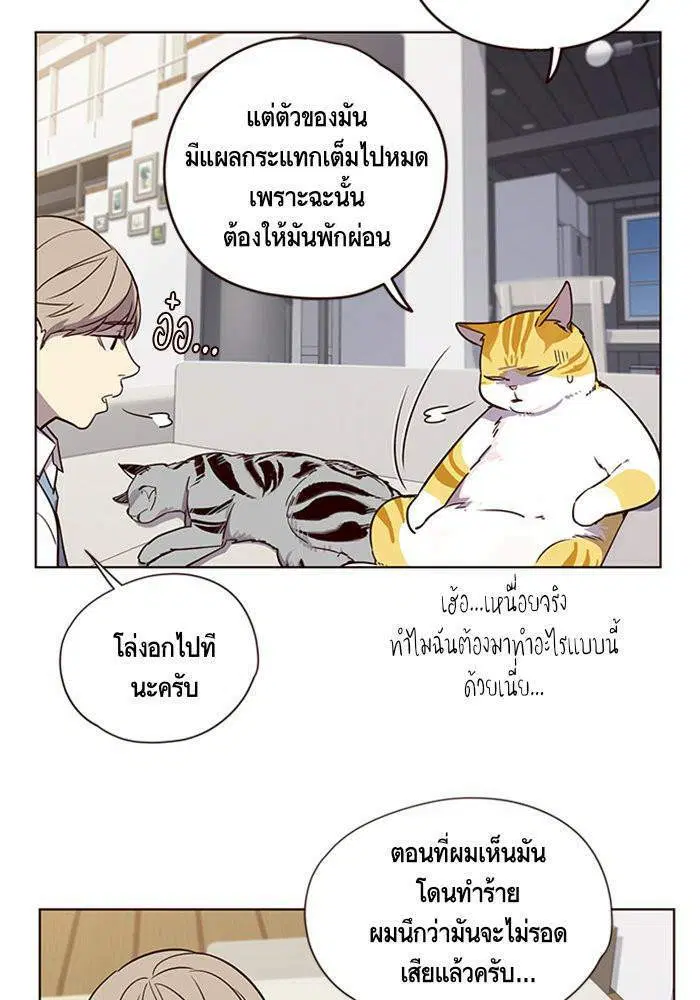 Eleceed ตอนที่ 6 หน้า 6