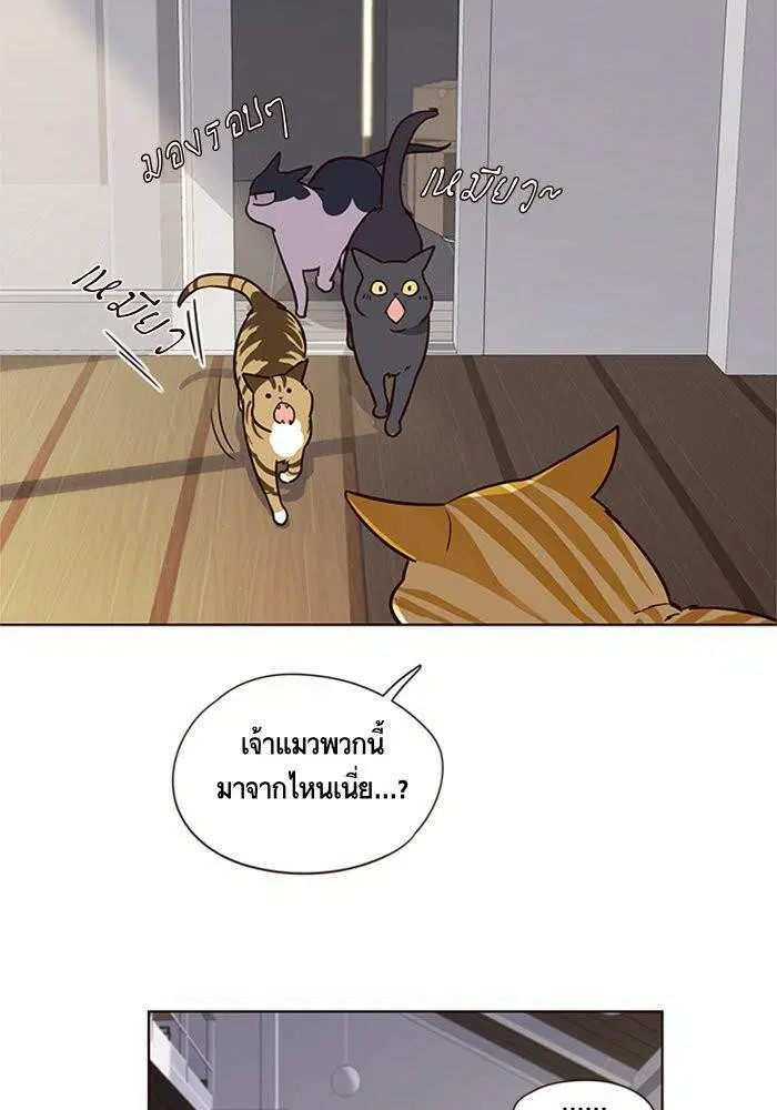 Eleceed ตอนที่ 6 หน้า 56
