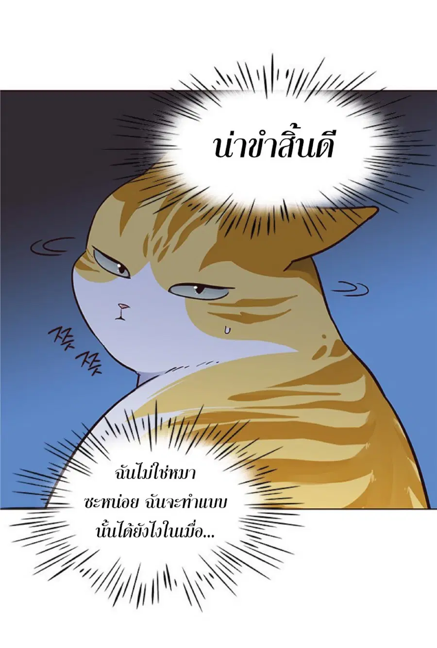 Eleceed ตอนที่ 41 หน้า 51