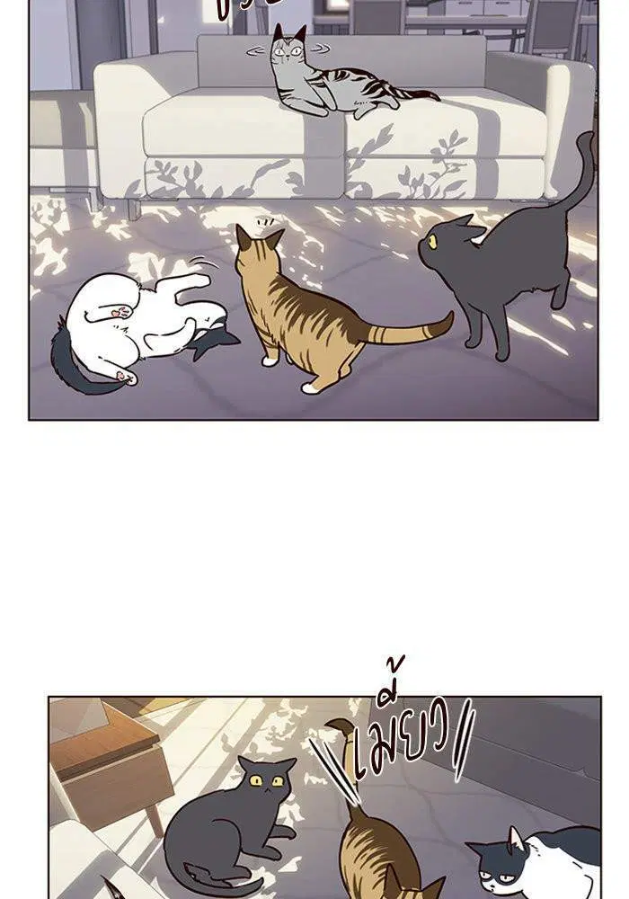 Eleceed ตอนที่ 7 หน้า 62
