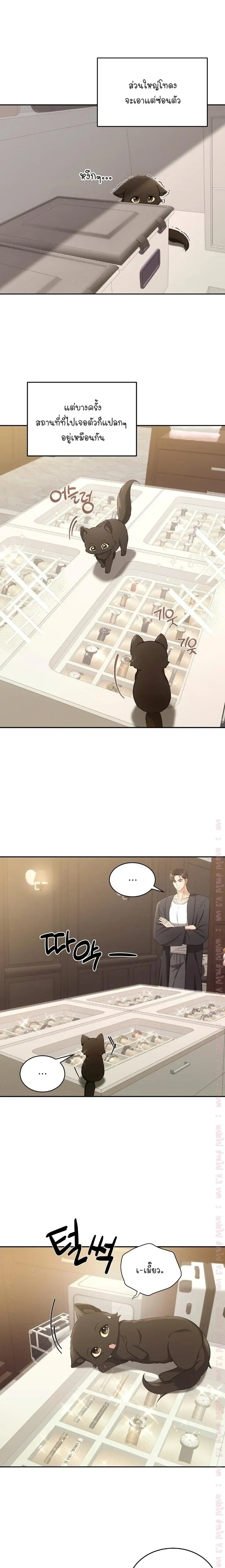 Cat Therapy Love – แมวบำบัดรัก ตอนที่ 2 หน้า 5