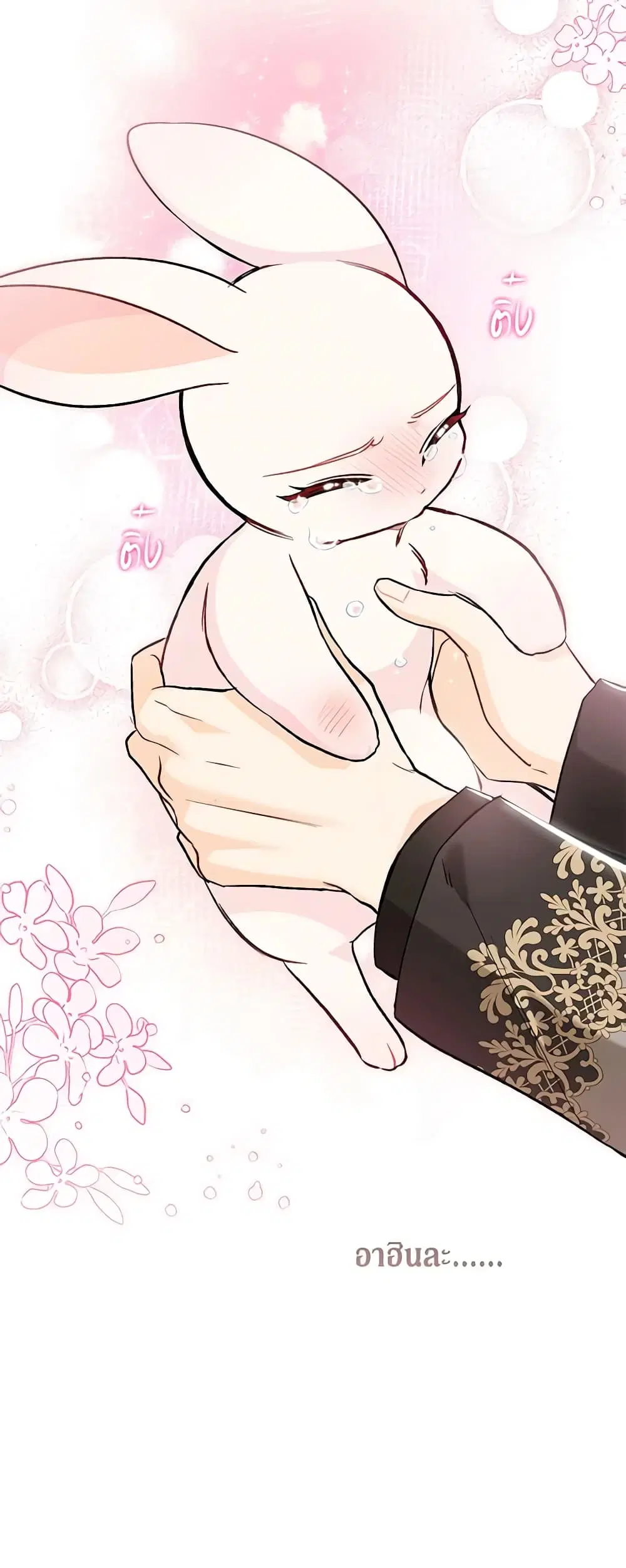 The Symbiotic Relationship Between a Panther and a Rabbit ตอนที่ 128 หน้า 20