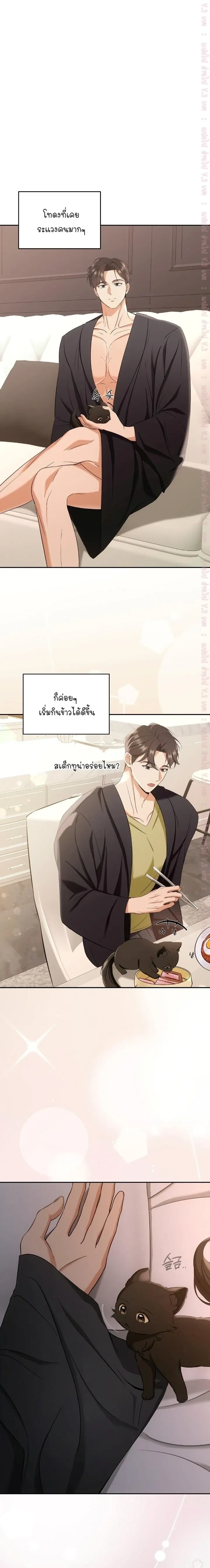 Cat Therapy Love – แมวบำบัดรัก ตอนที่ 2 หน้า 10