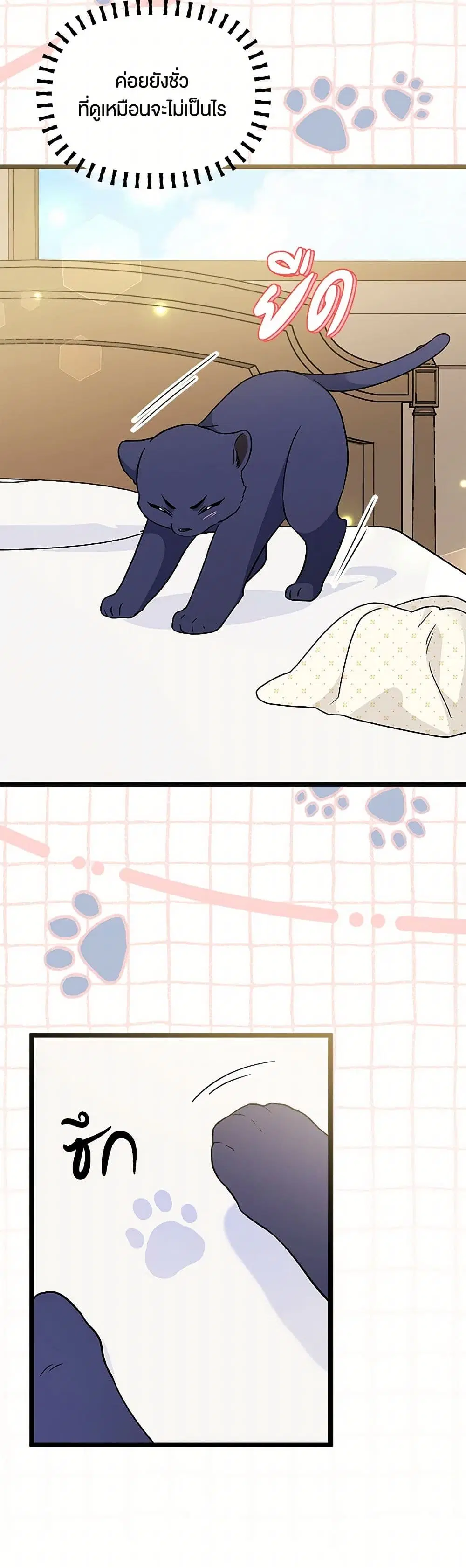 The Symbiotic Relationship Between a Panther and a Rabbit ตอนที่ 164 หน้า 19