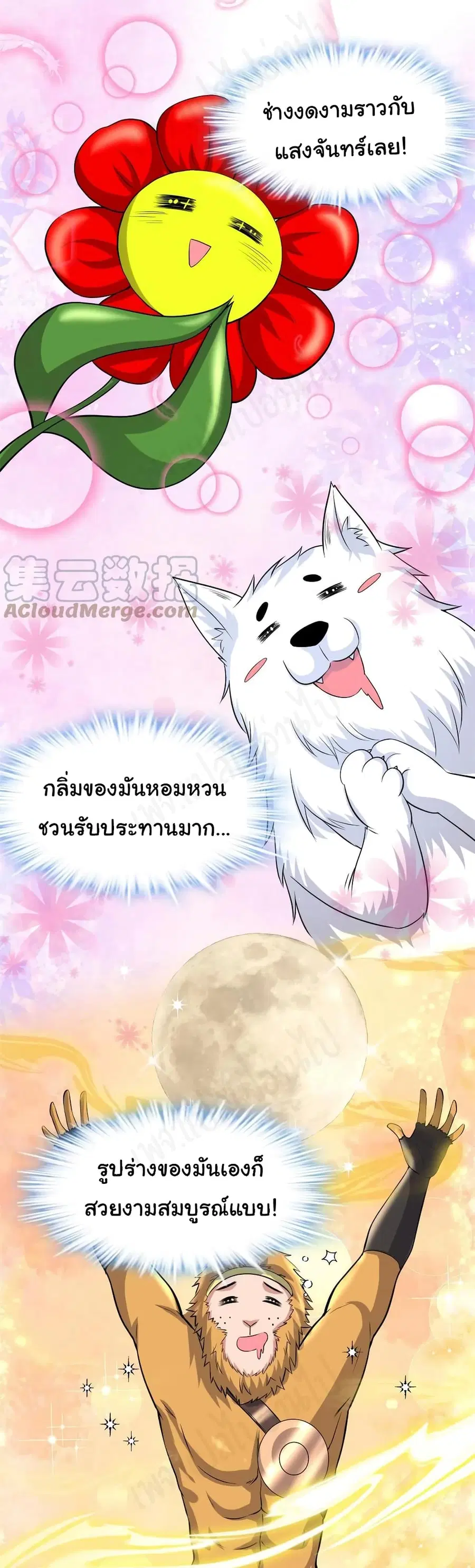 I might be A Fake Fairy ตอนที่ 234 หน้า 16