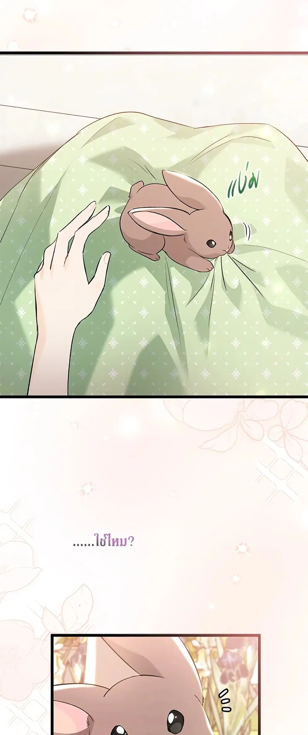 The Symbiotic Relationship Between a Panther and a Rabbit ตอนที่ 75 หน้า 47