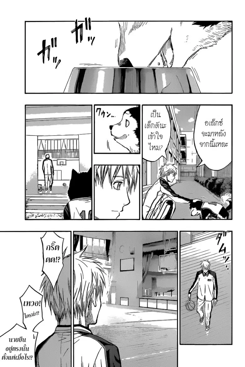 Kuroko no Basuke ตอนที่ 229 หน้า 15