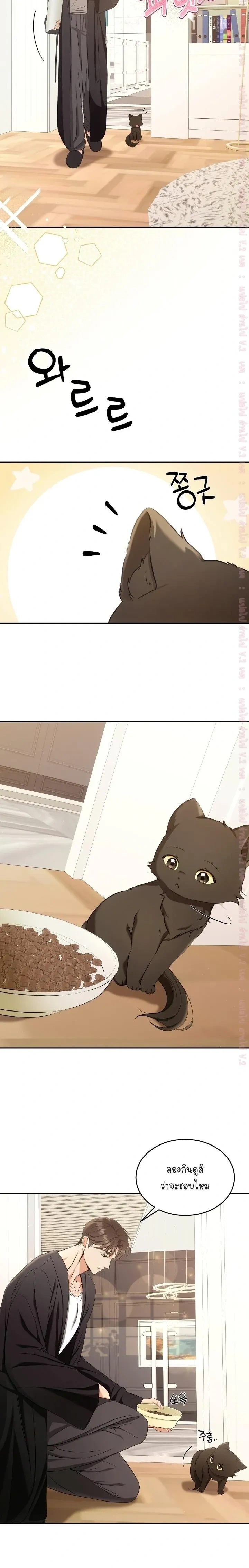 Cat Therapy Love – แมวบำบัดรัก ตอนที่ 2 หน้า 2