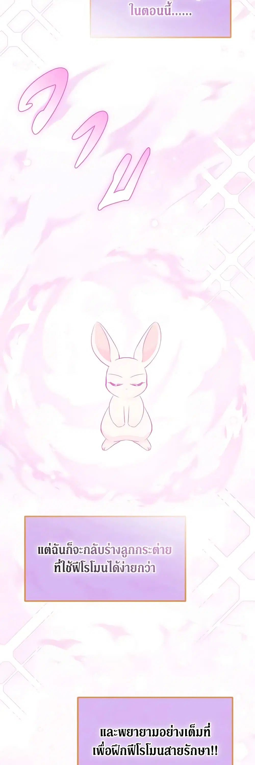 The Symbiotic Relationship Between a Panther and a Rabbit ตอนที่ 95 หน้า 20