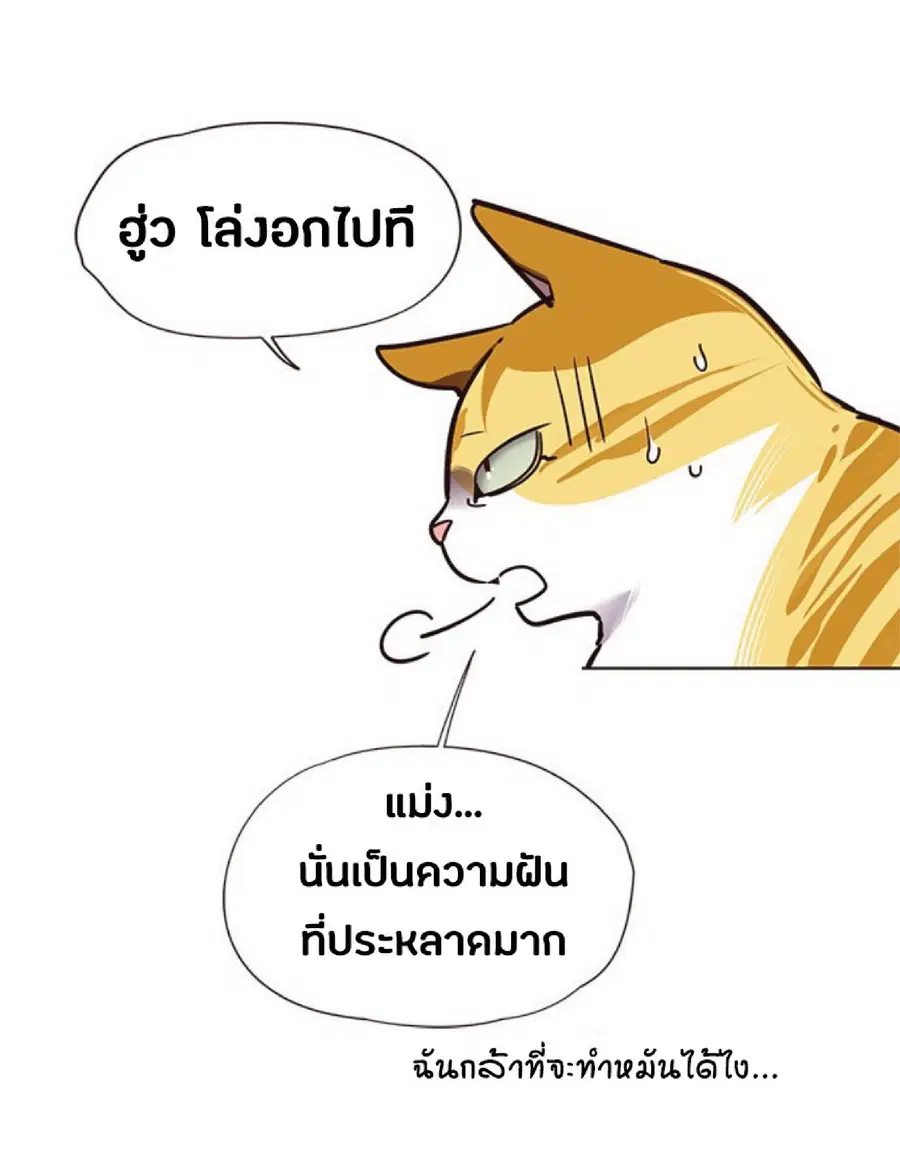 Eleceed ตอนที่ 56 หน้า 19