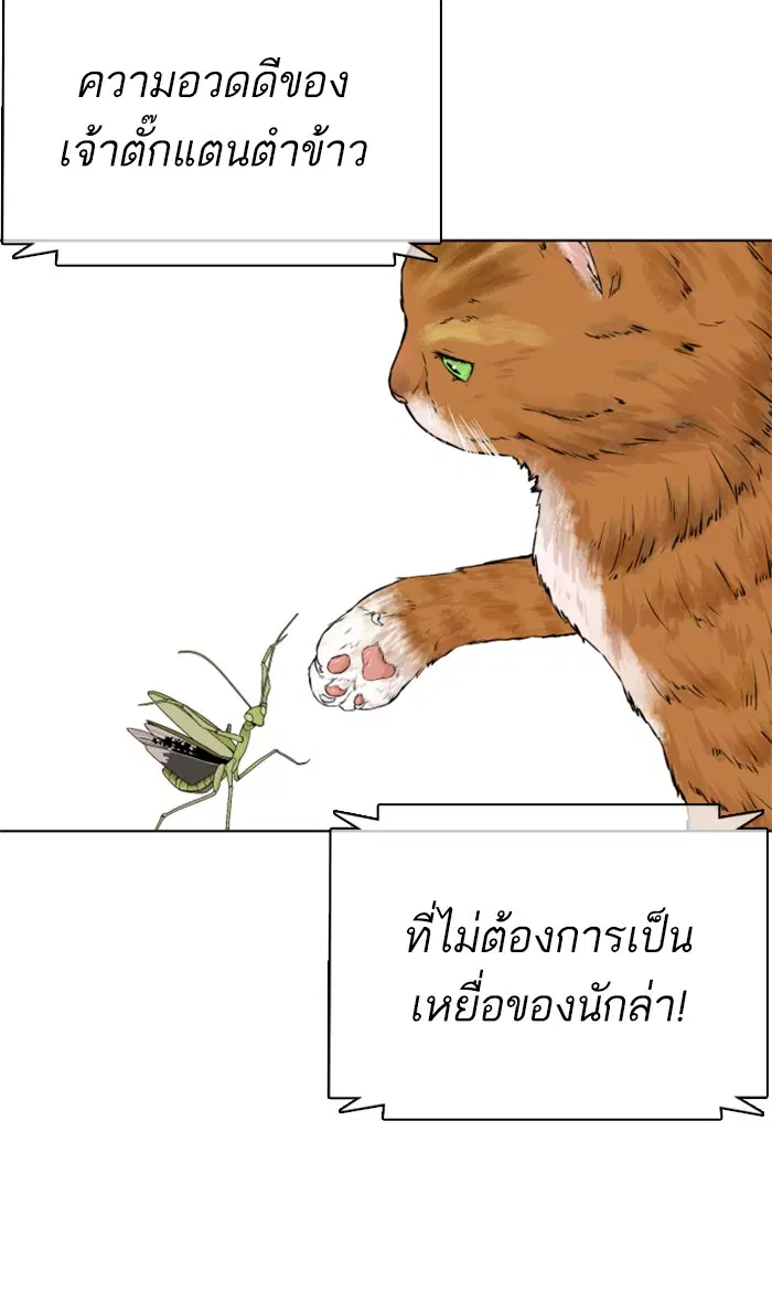 How to Fight ตอนที่ 23 หน้า 16