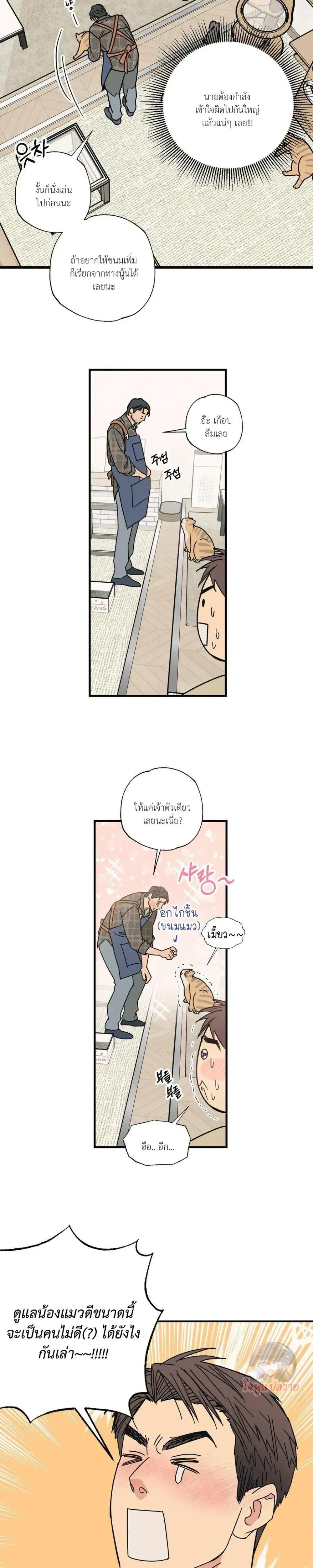 Mutual Selection – หัวใจที่เลือกเธอ ตอนที่ 3 หน้า 11