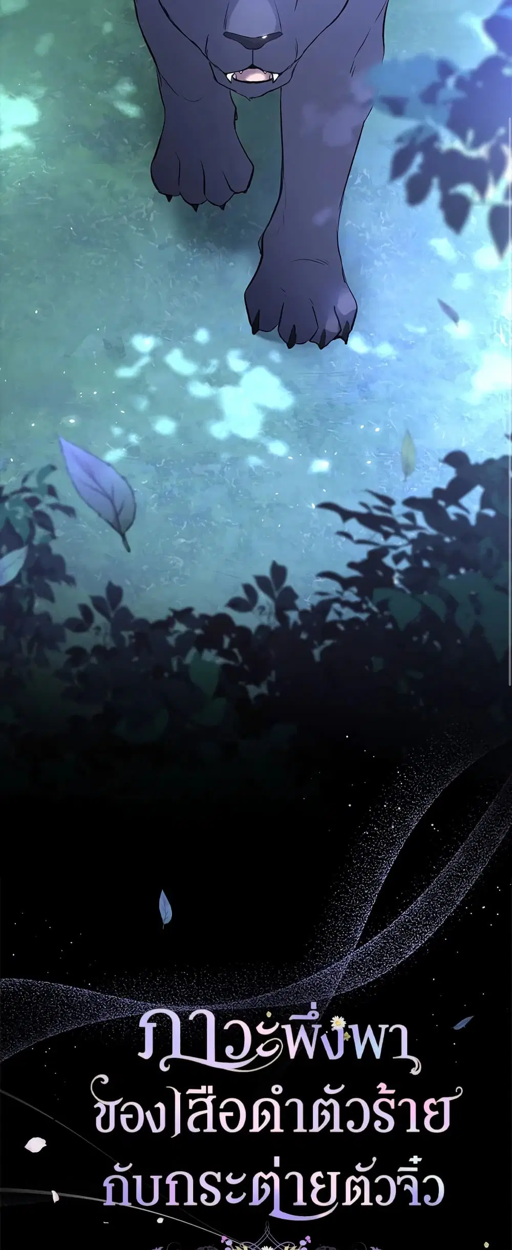 The Symbiotic Relationship Between a Panther and a Rabbit ตอนที่ 50 หน้า 11