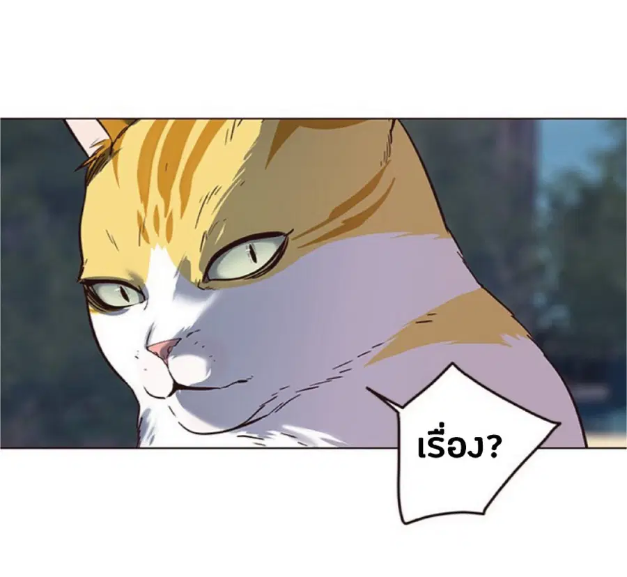 Eleceed ตอนที่ 91 หน้า 77