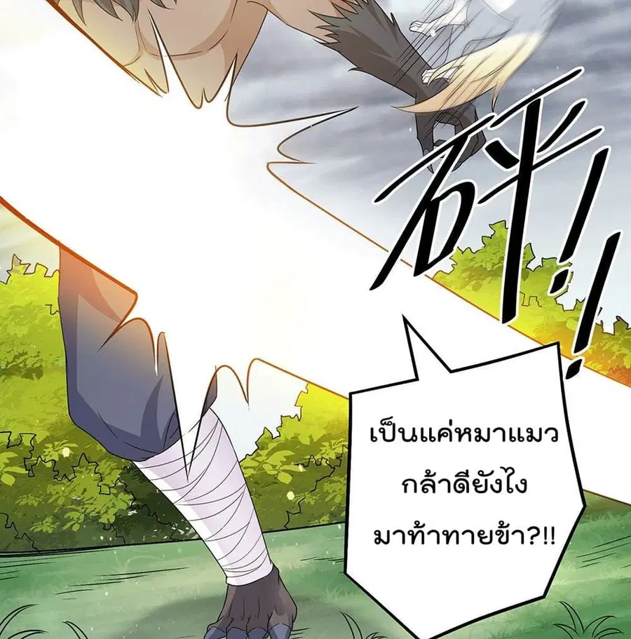 Immortal King of City ตอนที่ 215 หน้า 17