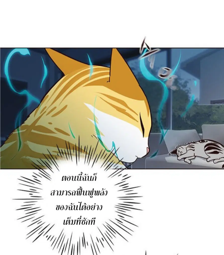 Eleceed ตอนที่ 37 หน้า 46