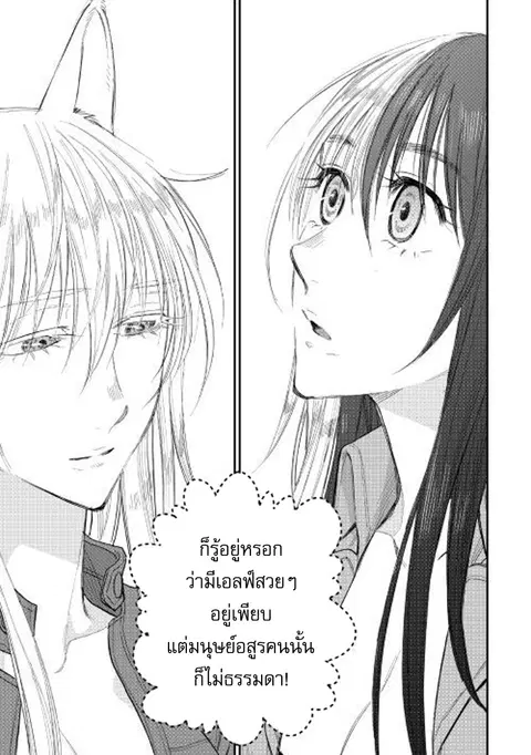 The New Gate ตอนที่ 37 หน้า 29