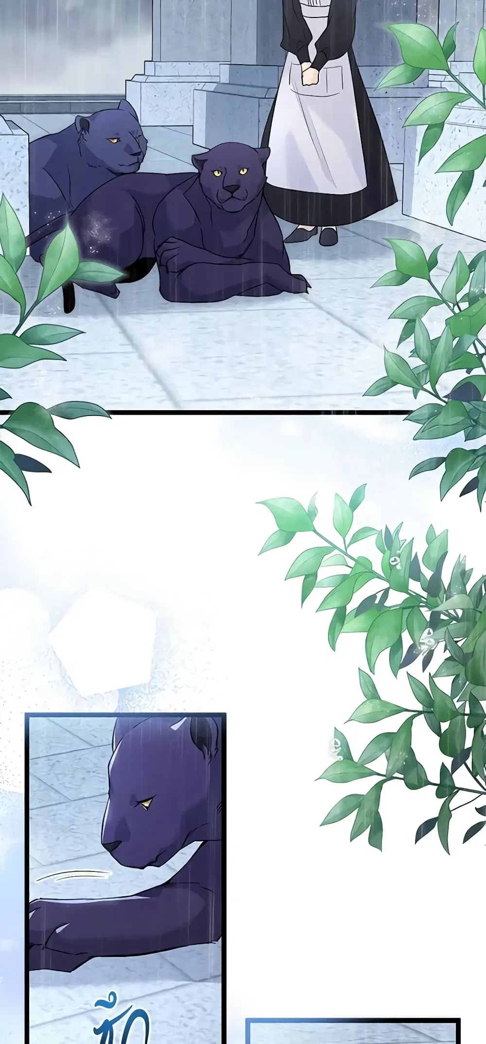 The Symbiotic Relationship Between a Panther and a Rabbit ตอนที่ 121 หน้า 19